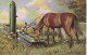 RE 19- CHEVAUX SE DESALTERANT DANS L' ABREUVOIR - ILLUSTRATEUR  - 2 SCANS - Horses