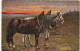 RE 19- ATTELAGE DE CHEVAUX AU CREPUSCULE  DANS LE PRE - ILLUSTRATEUR MULLER - 2 SCANS - Paarden