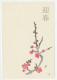 Specimen - Postal Stationery Japan 1984 Cherry Blossom - Obst & Früchte