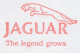 Meter Cut Belgium 1998 Car - Jaguar - Auto's