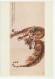 Postal Stationery China Tiger - Autres & Non Classés