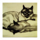 Chats, Cats, 1922 - Elizabeth Norton (American) 1887 - 1985 - CPM Double - Frais Du Site Déduits - Chats