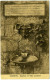 G.164  SORRENTO - Napoli - Fontana Di Villa Crawford - 1914 - Sonstige & Ohne Zuordnung