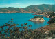 ISOLA D'ELBA SCOGLIO DELLA PAOLINA - Andere & Zonder Classificatie