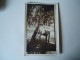 GREECE PHOTO   POSTCARDS   1930 ΠΑΙΔΑΚΙ ΣΤΗΝ ΚΗΦΙΣΙΑ      MORE PURHASES 10% DISCOUNT - Greece