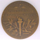 Delcampe - Medaille En Bronze.  Woodrow Wilson Président Des États-Unis, Paris 1919 , Par Leon Deschamps - Sonstige & Ohne Zuordnung