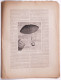 Delcampe - Paris Illustré.Les Aérostats Et La Navigation Aérienne.année 1885. - Revues Anciennes - Avant 1900