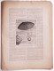 Delcampe - Paris Illustré.Les Aérostats Et La Navigation Aérienne.année 1885. - Riviste - Ante 1900