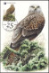 CM/MK° - 4030/4034(BL182) - 25ans De Timbres De Haut Vol / 25 Jaar Hoogvliegers In De Filatelie - BUZIN - SIGNÉ/GETEKEND - 1985-.. Vögel (Buzin)
