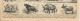 Planche 1908 Boeuf Animal Races Boeufs Taureaux Elevage Agriculture Taureau Durham Jersey Cotentin Agenais Gascon Angeln - Sonstige & Ohne Zuordnung
