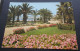Cannes - Une Partie Des Jardins Fleuris De La Croisette - Editions D'Art ALTARI, Nice - Cannes