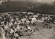 TE 20-(67) VUE AERIENNE SUR WANGENBOURG - PHOTO AERIENNE CARABIN - 2 SCANS - Other & Unclassified