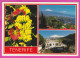 293756 / Spain - Tenerife Islas Canarias PC 1995 USED 60Pta Spanish Film Industry "Volver A Empezar" Flamme  CONSIGNE EN - Briefe U. Dokumente