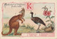 UR 25-(K) ALPHABET HISTOIRE NATURELLE - ANIMAUX : KANGOUROU , KAMICHI , KAKERLAK - PLANTE : KETMIE - PUBLICITE  PHOSCAO - Other & Unclassified