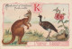 UR 25-(K) ALPHABET HISTOIRE NATURELLE - ANIMAUX : KANGOUROU , KAMICHI , KAKERLAK - PLANTE : KETMIE - PUBLICITE  PHOSCAO - Andere & Zonder Classificatie