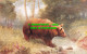 R551309 The Brown Bear. Wild Animal Series. Tuck. Oilette. No. 3039 - Welt
