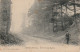 VE 20-(95) SAINT LEU TAVERNY - EN FORET ( LES SAPINS ) - ENFANT  - 2 SCANS - Sonstige & Ohne Zuordnung