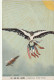 VE 24- " EN EL AIRE " - APOTEOSIS , VISION FUTURA - OISEAU AVEC ANNEAU ET ORIFLAMMES : USA , ITALIE , FRANCE , G.B ... - Patriotic