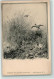 39184106 - Stroefer Jagd-Postkarte Nr. 6  Federwild - Caza