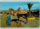 40142906 - Kamele Nomade Mit Seinem Kamel 2 Karten Kl. - Other & Unclassified