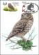 CM/MK - DUOSTAMP/MYSTAMP° - Chouette Chevêche / Kleine Uil / Kleine Eule / Little Owl / Athene Noctua - BUZIN - Brieven En Documenten