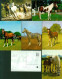 40166806 - Pferde Lot Mit  15 AK: Ueberwiegend Gute Erhaltung, Nicht Gelaufen - Horses