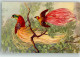39626906 - Paradiesvogel Sign. E.B.  Verlag Stehli 1311 - Oiseaux