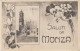167-Monza-Lombardia-La Cattedrale-Saluti Da...-v.1920 X Catania-Targhetta Nitidissima-Fiera Campionaria Milano-Tassata - Milano (Milan)