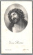 Bidprentje Lauwe - Naert Florence (1879-1966) - Devotion Images