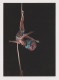 Poland Polish Sexy Young Woman, Circus Performer On A Rope, Vintage Photo Postcard Pin-Up RPPc AK (1213) - Cirque