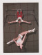 Poland Polish Sexy Young Woman, Muscle Man Acrobatic Circus Performers, Vintage Photo Postcard Pin-Up RPPc AK (1210) - Circus