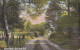 D92. Vintage Postcard. Aberfoyle By Loch Ard. - Stirlingshire