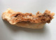 Stalactite - 56 Grammes 8,5 Cm X 4,3 Cm - Mineralien