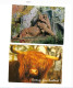 Delcampe - Lot De 8 Cartes Postales"Animaux". - Other & Unclassified