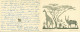 13816906 - Sign. F. Reitz Giraffe Und Kudu Serie Nr. 8 Kiepersol Klappkarte Neujahr Weihnachten - Sudáfrica