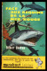 "Face Aux Requins De La Mer Rouge", De Gilbert DOUKAN - MJ N° 103 -  Récit - 1957. - Marabout Junior