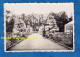 Photo Ancienne Snapshot - LOUVAIN - Le Jardin Botanique - Mai 1935 - Arbre à Identifier Parc Leuven Belgique - Lieux