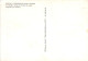 CATHEDRALE SAINT LAZARE AUTUN Vitrail De L Arbre De Jesse 5(scan Recto-verso) MA2274 - Autun