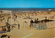 HOSSEGOR  Les GOELANDS  Club De Natation Sur La Plage   33 (scan Recto-verso)MA2283Ter - Hossegor