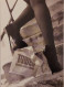 Carte Postale (Tower Records) Illustration : Steve Diet Goedde (jambes De Femme) - Advertising