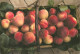 Recette  Peches PEACH Basket  The Lost Gardens Of HELIGAN Fruits   44  (scan Recto-verso)MA2288Bis - Recepten (kook)