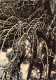 GABON  LIBREVILLE Image De MANGROVE   21  (scan Recto-verso)MA2295Ter - Gabun