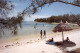 L'ILE MAURICE - MAURITIUS  Le Chaland  8 (scan Recto-verso)MA2296 - Mauricio