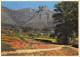 CAPE PENINSULA  Cape Town  Johannesburg  15 (scan Recto-verso)MA2296 - South Africa