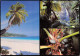 SEYCHELLES  Anse Intendance Mahe  Praslin  45 (scan Recto-verso)MA2296 - Seychellen