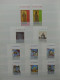 Delcampe - Vatikan 1997-1999 Postfrisch Besammelt Im Einsteck-Album #LZ004 - Other & Unclassified