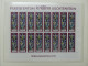 Delcampe - Liechtenstein Große Postfrisch Sammlung Kleinbögen Im Borek Vordruck #LY974 - Autres & Non Classés