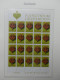 Delcampe - Liechtenstein Große Postfrisch Sammlung Kleinbögen Im Borek Vordruck #LY974 - Sonstige & Ohne Zuordnung