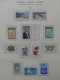 Delcampe - Türkisch Zypern Ergiebige Sammlung In 4 Bindern #LY988 - Used Stamps