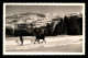 74 - MEGEVE - SPORTS D'HIVER - SKI-DJOERING - Megève